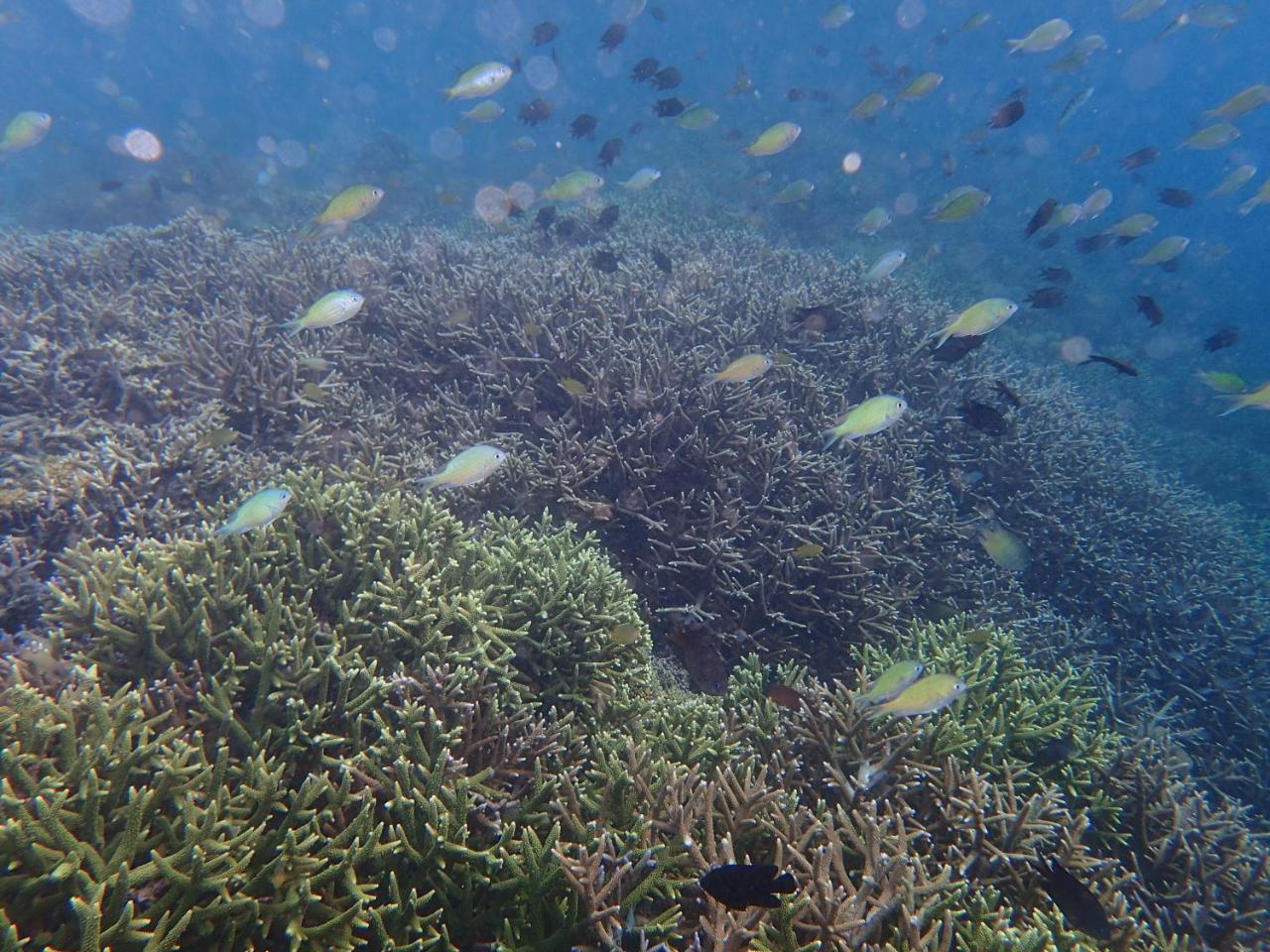 Bidara Cottage Labuhan Pandan Eksteriør bilde